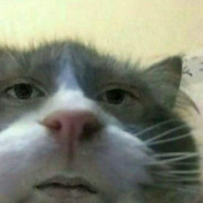 HOJE EM DIA
