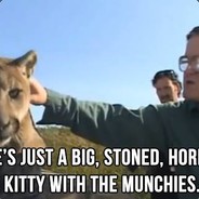 Herb