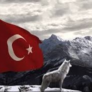 ayyildiz.yanlizkurt
