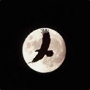 Nightbird