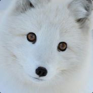Xouless (Benji)