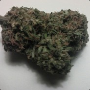 Steam profile picture for @bragging