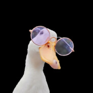 Ducked