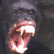 FerociousChimpy