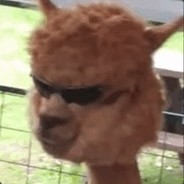 who Gamdom.com