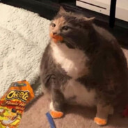 𝔯➆zσ𝔁ℍ