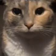 MJ