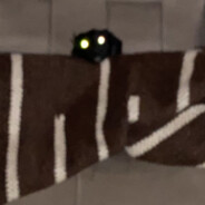 Zebu