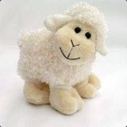 FluffySheep42