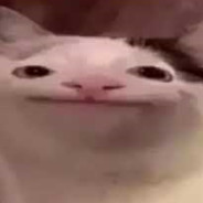 Rice_Dwella