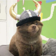 Bjorn