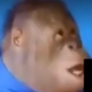EllisR3001
