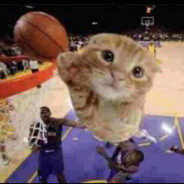 Ballincat43