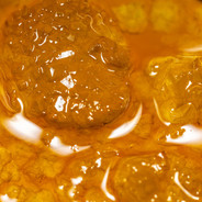 Terps