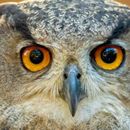 TeOpaA Haz3 ⛟ avatar