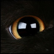 Steam profile picture for @embark