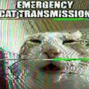 emergency cat transmission