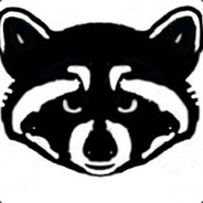 Raccoon22