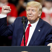 Donald J Trump