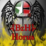 -[BzH]™- HORUS