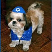 Jewish Dog *duunitori.fi