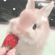Strawbunny