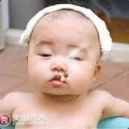 野豬騎士來囉