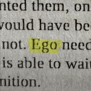 eg0-engoyer