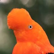 Taegub
