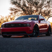whippled5.0