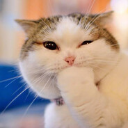 MangoluKezzap☪ avatar