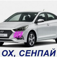 Хентай Солярис