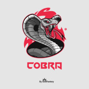 ꗃCOBRA