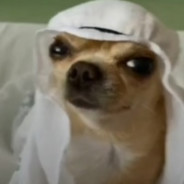 تبا لك مصاصة إذا ك