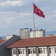 Qelsa