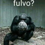 Fulbo