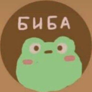 БИБА