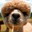 Group Avatar