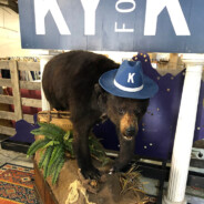 Pablo Eskobear