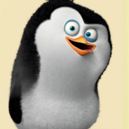 Stoipex