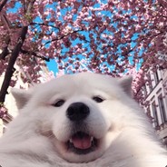Детям не понять