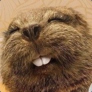 SCC