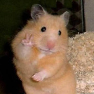 Dima