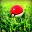 Group Avatar