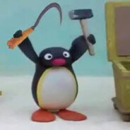 Noot Noot