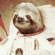 Sprightly Sloth