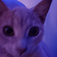 maeel