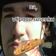 prémiovej týpek