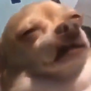 LeroyJankins