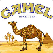 Camel Box